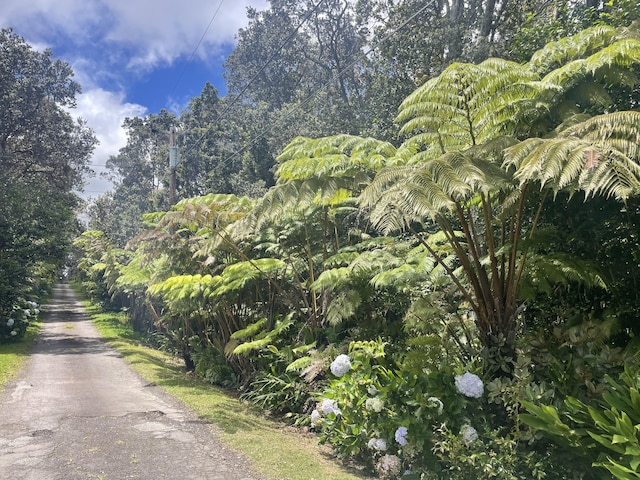 19-4122 Kalani Honua Loop, Volcano, HI 96785 - photo 17
