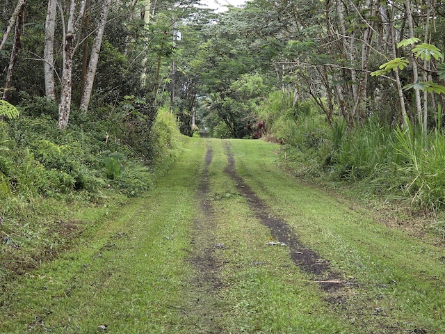 1234 Pikake Rd, Pahoa, HI 96778 - view of yard with a wooded view