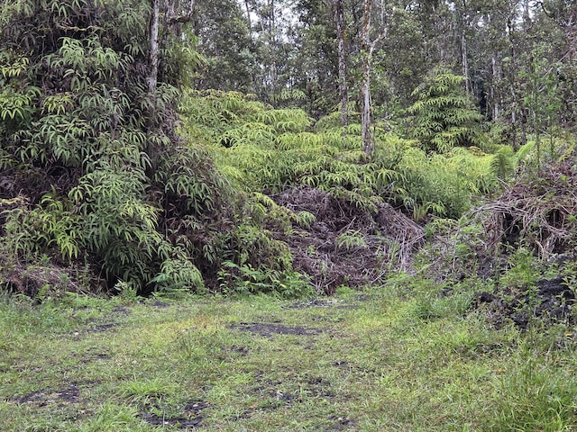 1234 Pikake Rd, Pahoa, HI 96778 - view of tree filled area