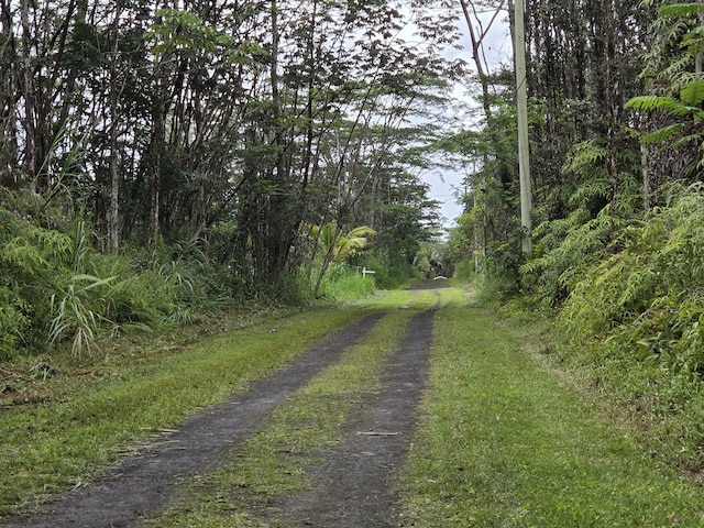 1234 Pikake Rd, Pahoa, HI 96778 - view of road