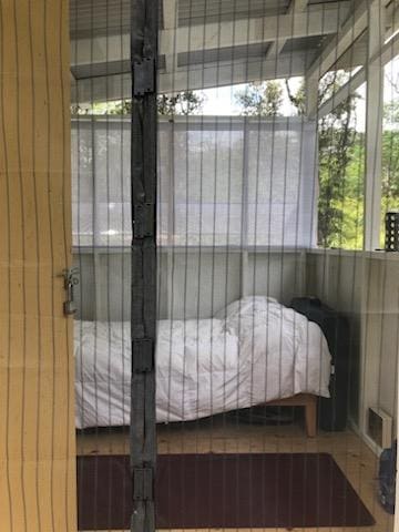 1234 Pikake Rd, Pahoa, HI 96778 - bedroom with multiple windows