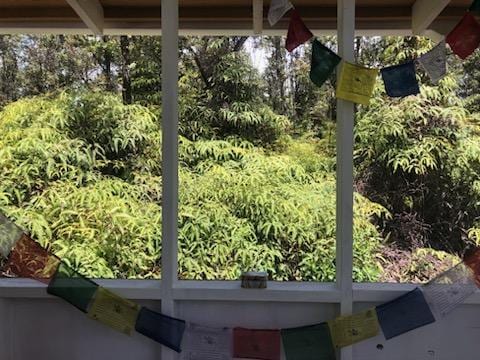 1234 Pikake Rd, Pahoa, HI 96778 - exterior space
