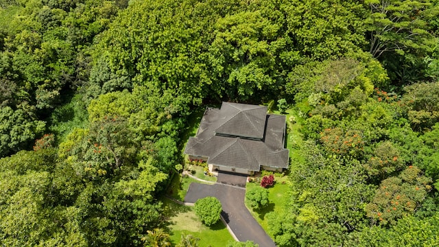 2110 Kaneka St Unit 46, Lihue, HI 96766 - aerial view of property and surrounding area featuring a forest