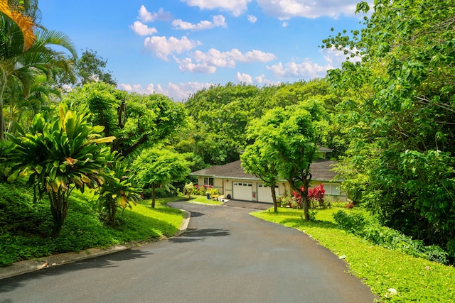 2110 Kaneka St Unit 46, Lihue, HI 96766 - view of front facade featuring driveway and a garage
