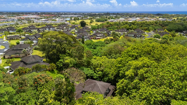 2110 Kaneka St Unit 46, Lihue, HI 96766 - aerial view of residential area