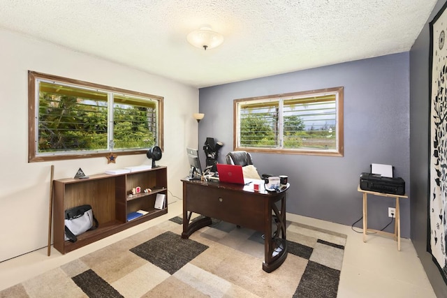 16-295 Orchidland Dr, Kurtistown, HI 96760 - office space with a textured ceiling