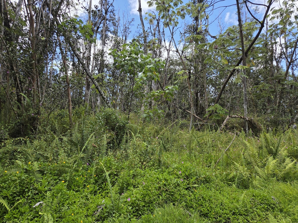 Oahu Rd, Pahoa, HI 96778 - photo 1