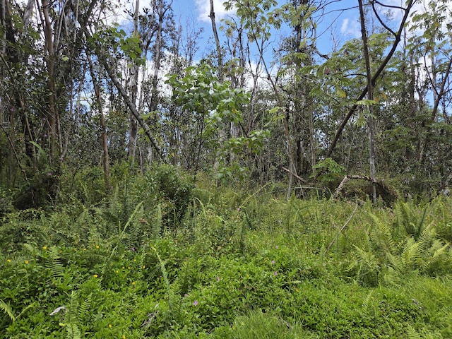 Oahu Rd, Pahoa, HI 96778 - photo 1