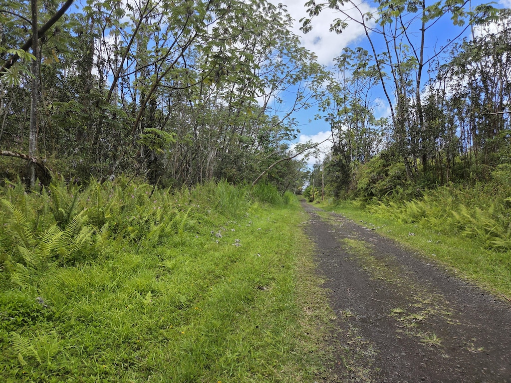 Oahu Rd, Pahoa, HI 96778 - photo 3