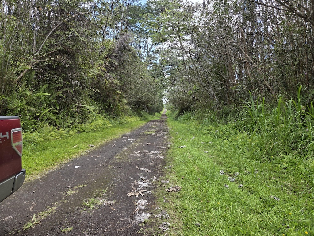 Oahu Rd, Pahoa, HI 96778 - photo 4