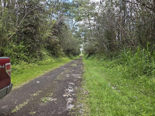 Oahu Rd, Pahoa, HI 96778 - photo 4