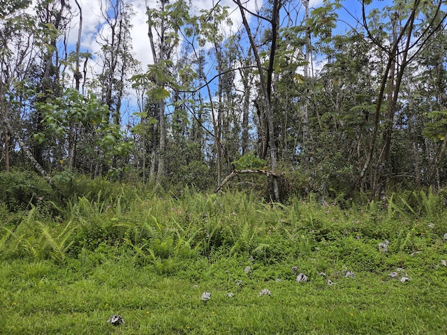 Oahu Rd, Pahoa, HI 96778 - photo 2