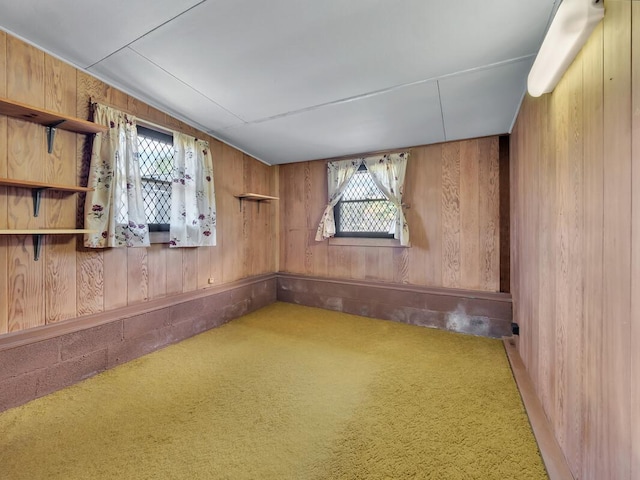 196 Iwalani St, Hilo, HI 96720 - basement with wood walls, healthy amount of natural light, and carpet floors