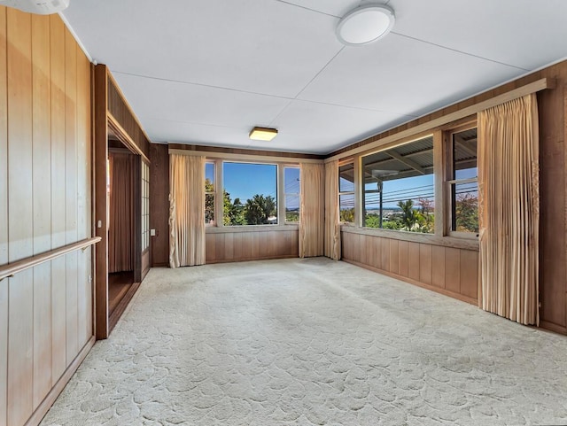 196 Iwalani St, Hilo, HI 96720 - empty room with wood walls, healthy amount of natural light, and carpet floors