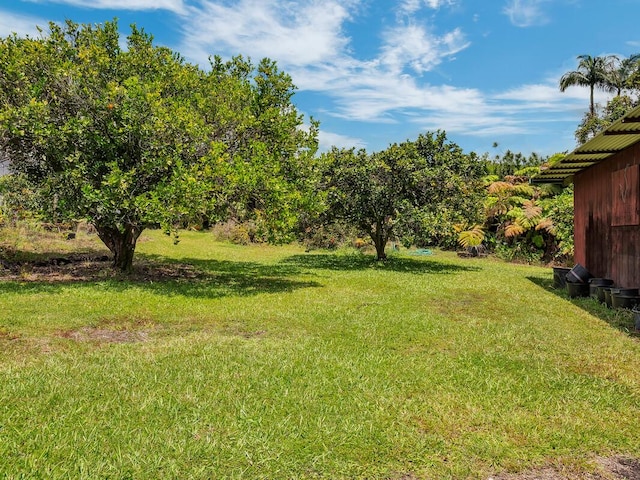 196 Iwalani St, Hilo, HI 96720 - view of grassy yard