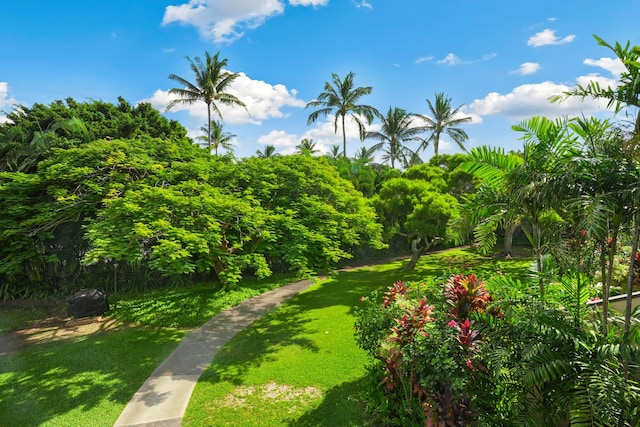 1901 Poipu Rd Unit 824, Koloa, HI 96756 - view of grassy yard