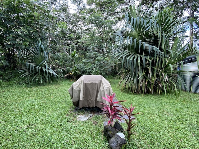 15-1884 9th Ave, Keaau, HI 96749 - view of grassy yard