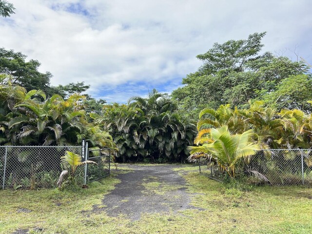 15-1884 9th Ave, Keaau, HI 96749 - view of road