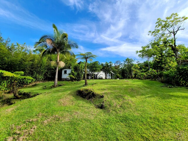 2126 Waianuenue Ave, Hilo, HI 96720 - photo 7