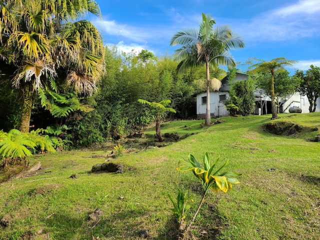 2126 Waianuenue Ave, Hilo, HI 96720 - photo 9