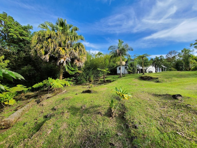 2126 Waianuenue Ave, Hilo, HI 96720 - photo 10