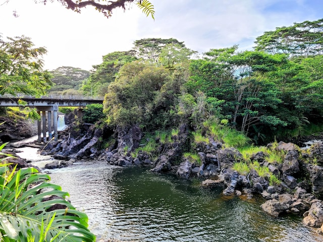 2126 Waianuenue Ave, Hilo, HI 96720 - photo 13