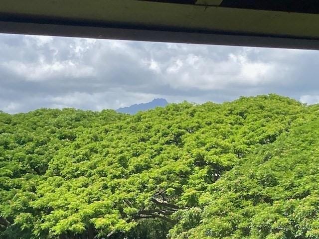 2253 Poipu Rd Unit 418, Koloa, HI 96756 - mountain view