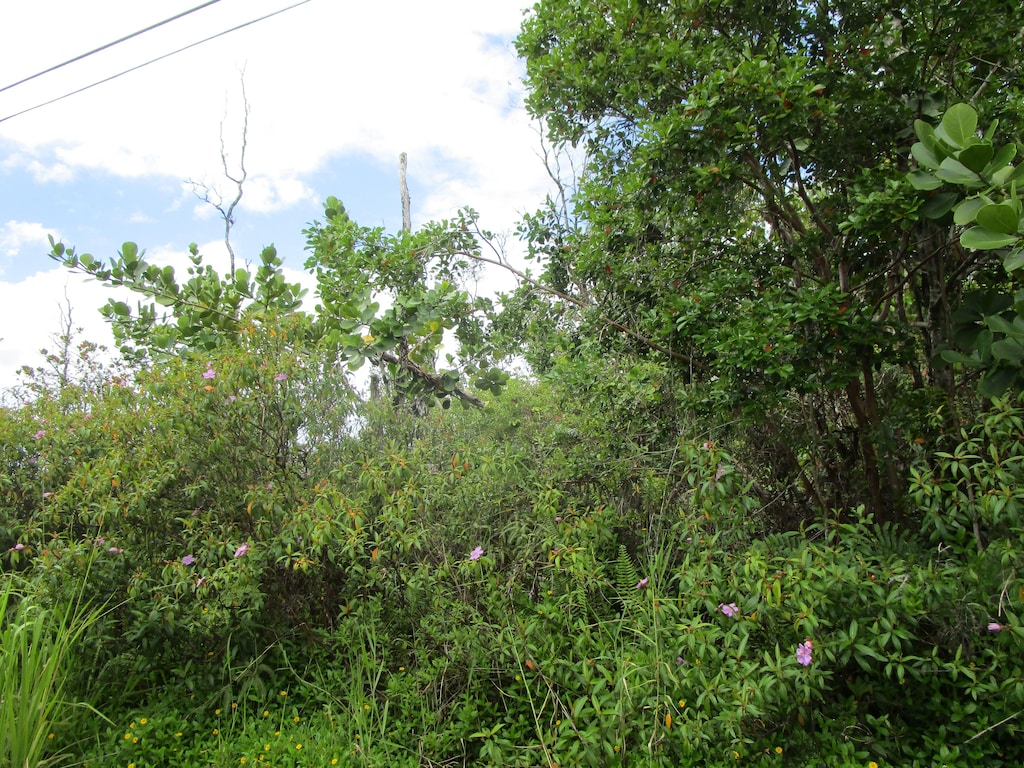 12th Ave, Keaau, HI 96749