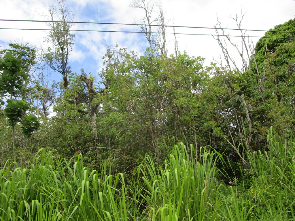 31st Ave, Keaau, HI 96749