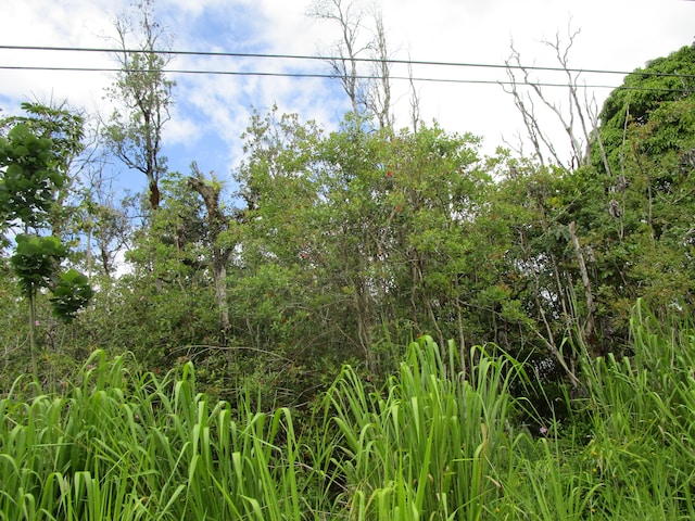 31st Ave, Keaau, HI 96749