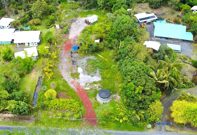 15-2041 8th Ave, Keaau, HI 96749