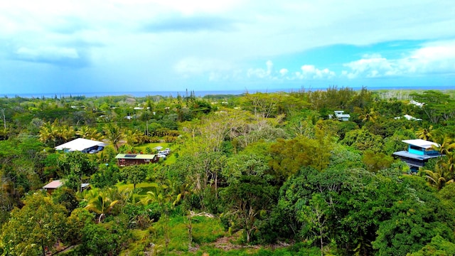 15-2041 8th Ave, Keaau, HI 96749