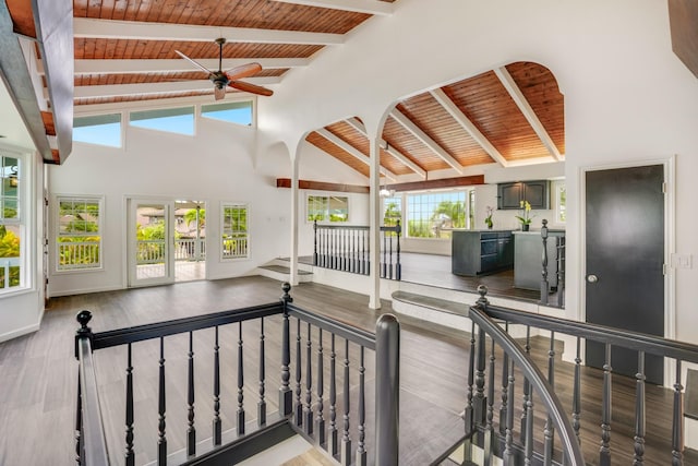 2684 Apapane St, Lihue, HI 96766 - photo 5
