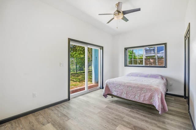 2684 Apapane St, Lihue, HI 96766 - photo 20