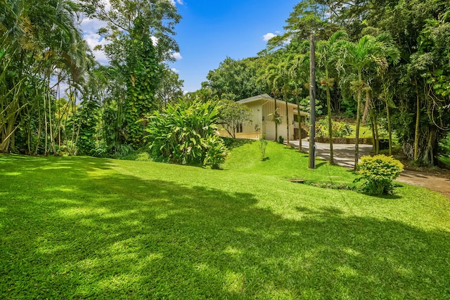 2895 Wawae Rd, Kalaheo, HI 96741 - view of green lawn