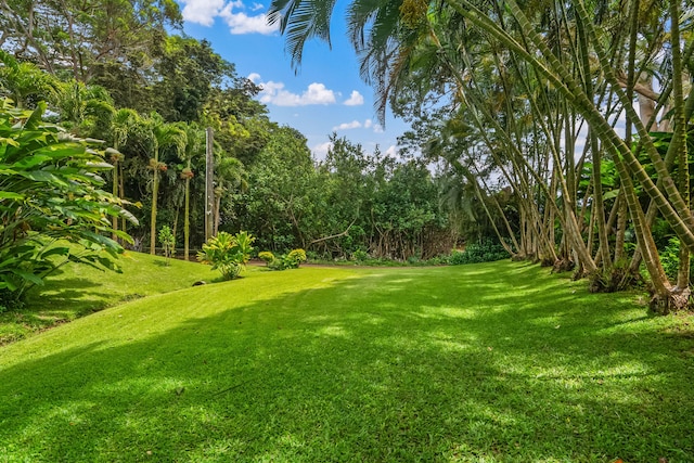 2895 Wawae Rd, Kalaheo, HI 96741 - view of grassy yard