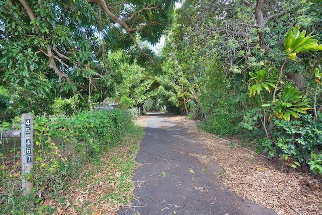 45-467 Ilima St, Honokaa, HI 96727 - photo 3