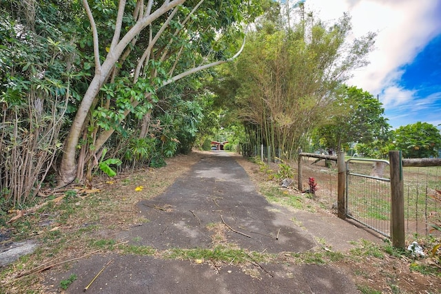 45-467 Ilima St, Honokaa, HI 96727 - photo 24