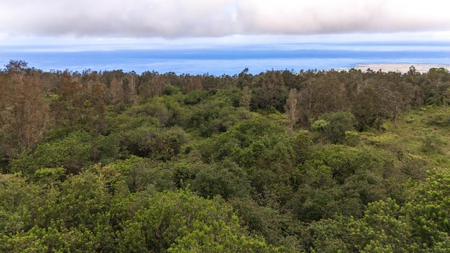 75-1305 Keopu Mauka Dr, Holualoa, HI 96725 - photo 5