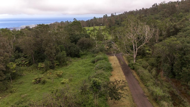 75-1305 Keopu Mauka Dr, Holualoa, HI 96725 - photo 7