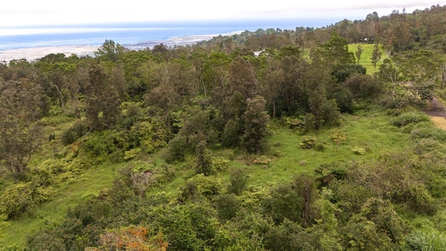 75-1305 Keopu Mauka Dr, Holualoa, HI 96725 - photo 8