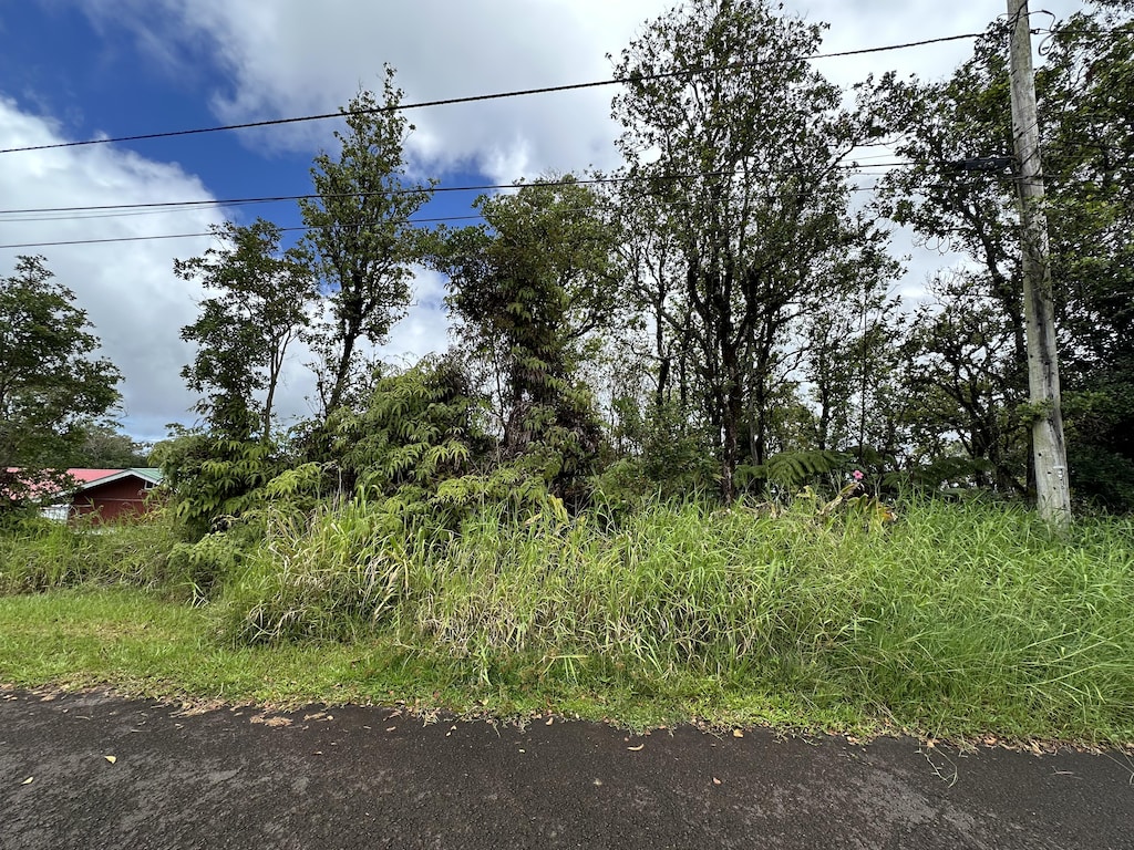 25-82 Malumalu St, Hilo, HI 96720