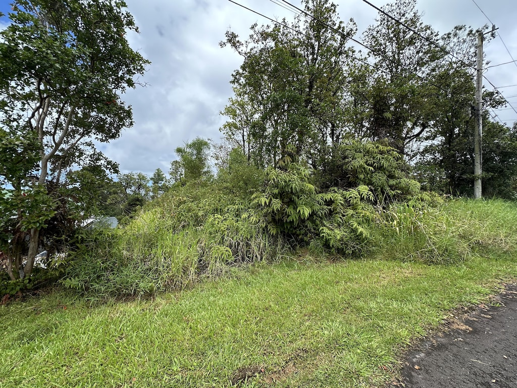 25-82 Malumalu St, Hilo, HI 96720