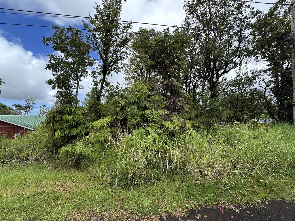 25-82 Malumalu St, Hilo, HI 96720