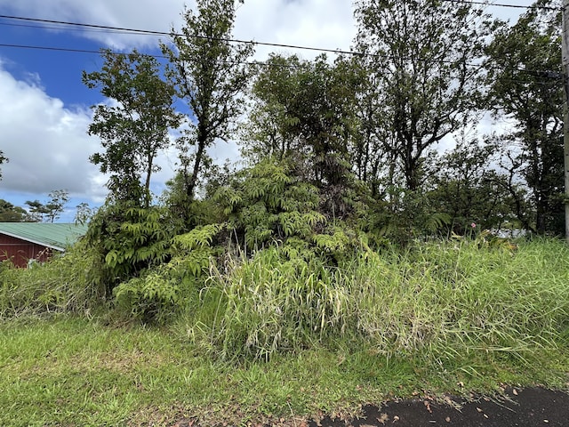 25-82 Malumalu St, Hilo, HI 96720