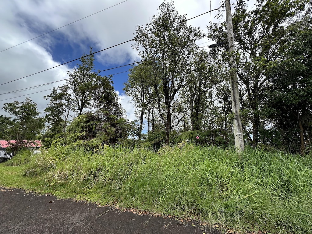 25-82 Malumalu St, Hilo, HI 96720
