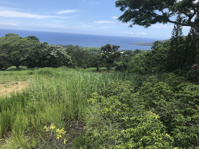 83-1025 Kahauloa Pl, Captain Cook, HI 96704