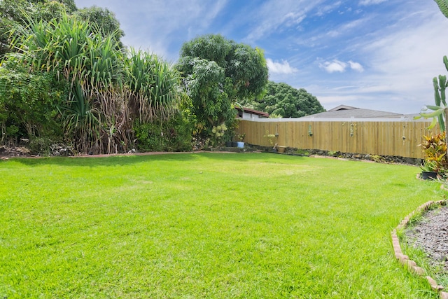 81-6356 Keopuka Pl, Captain Cook, HI 96750 - view of yard