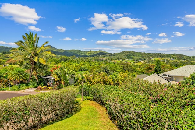 4460 Kai Ikena Dr, Kalaheo, HI 96741 - view of mountain background