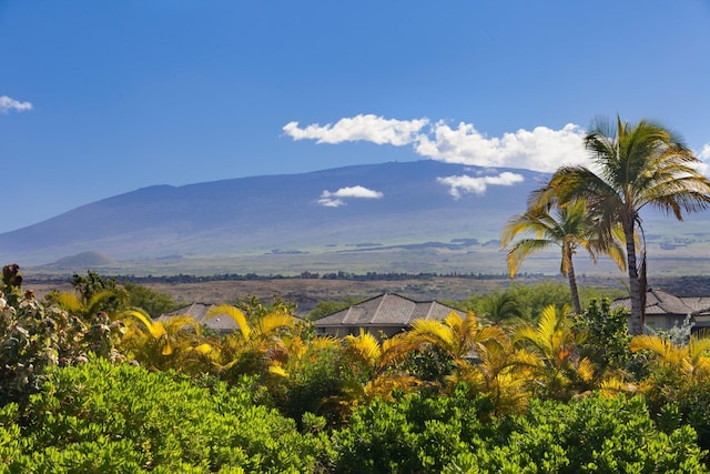 68-1122 Kaniku Dr Unit 426, Kamuela, HI 96743 - view of mountain background